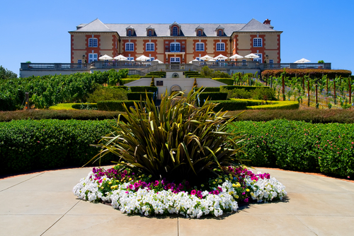 california-napa-valley-ca557.jpg